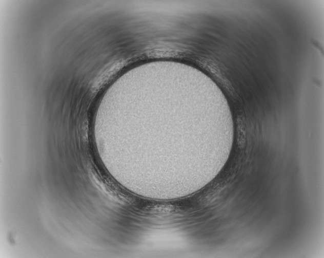X0000099320631200805301216