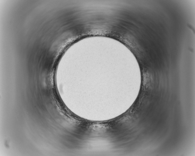 X0000099320632200805301216