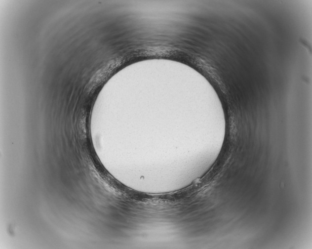 X0000099320633200805301216