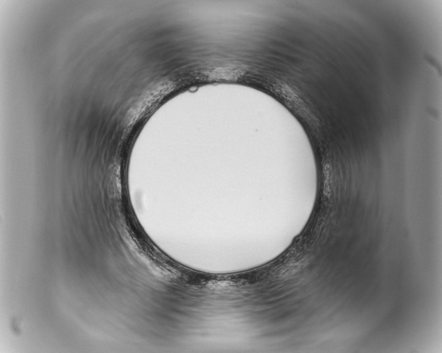X0000099320634200805301216