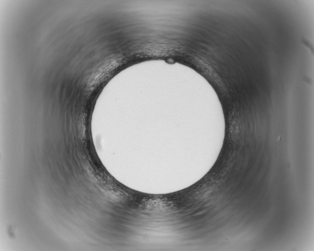 X0000099320635200805301216