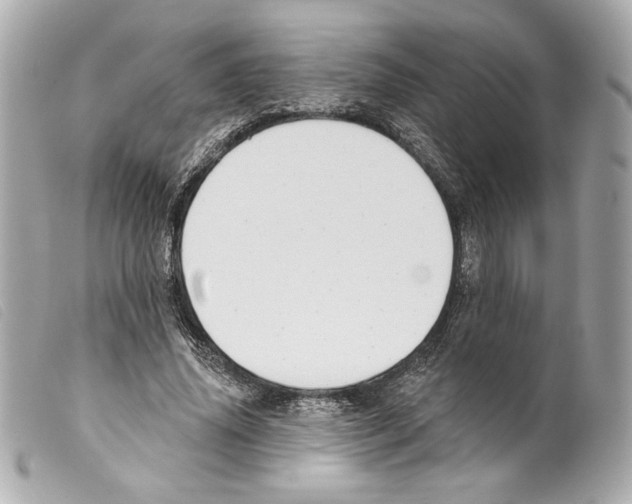 X0000099320636200805301216