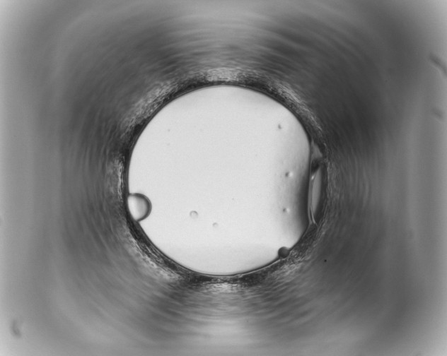 X0000099320637200805301216
