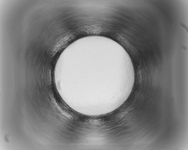 X0000099320638200805301216