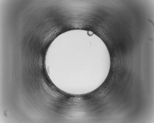 X0000099320639200805301216