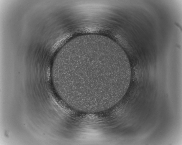 X0000099320640200805301216
