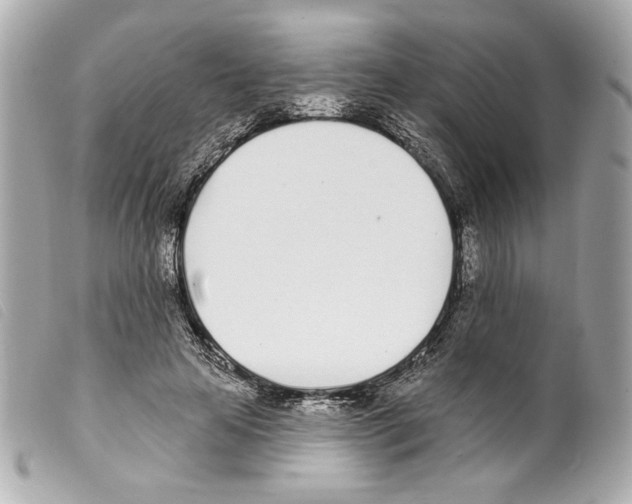 X0000099320641200805301216