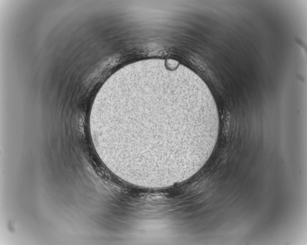 X0000099320643200805301217