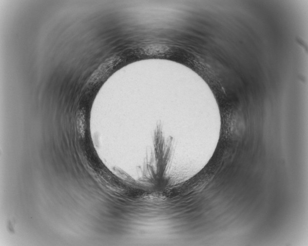 X0000099320644200805301217