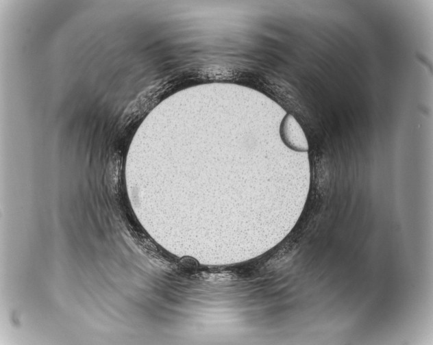 X0000099320645200805301217