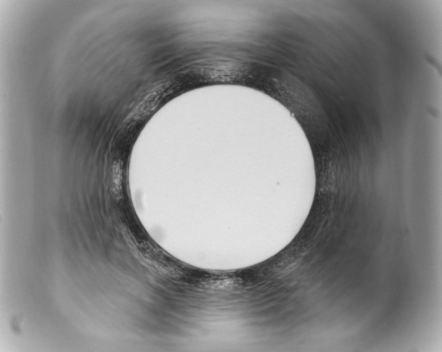 X0000099320646200805301217