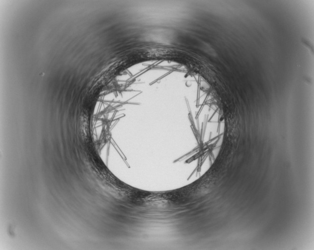 X0000099320648200805301217