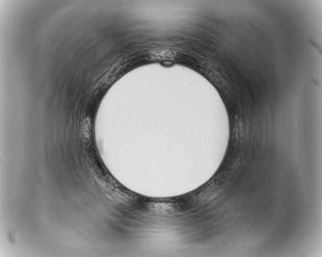 X0000099320649200805301217