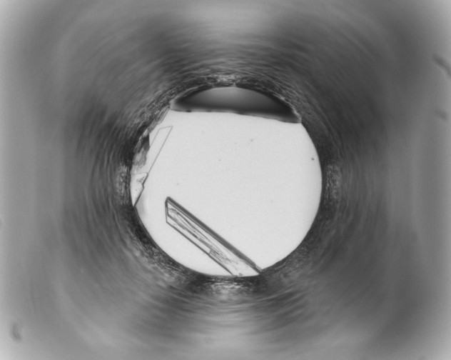 X0000099320650200805301217