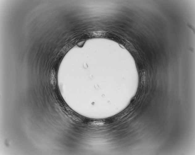 X0000099320651200805301217