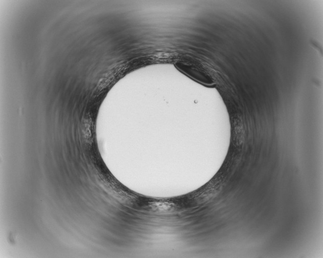 X0000099320654200805301217