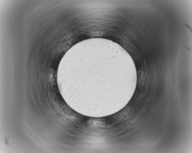 X0000099320655200805301217