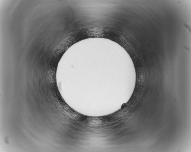 X0000099320658200805301217