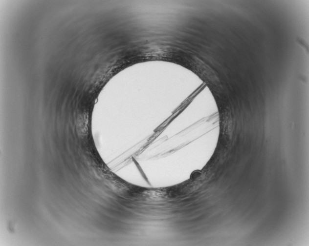 X0000099320660200805301217