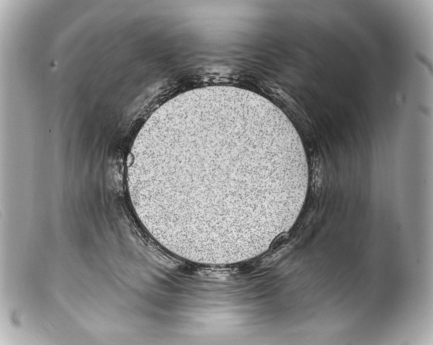 X0000099320661200805301217