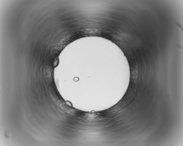 X0000099320662200805301217