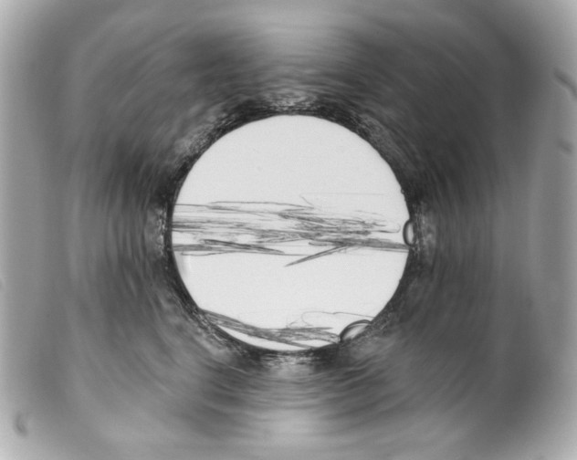 X0000099320664200805301217