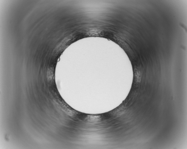 X0000099320665200805301217