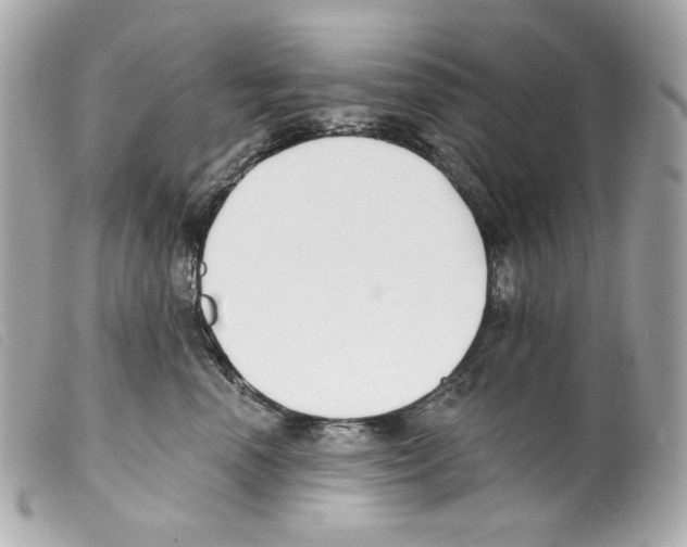 X0000099320666200805301217