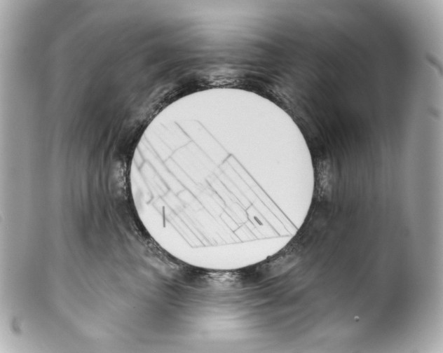 X0000099320667200805301217