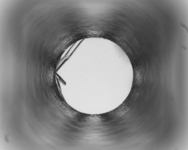 X0000099320668200805301217