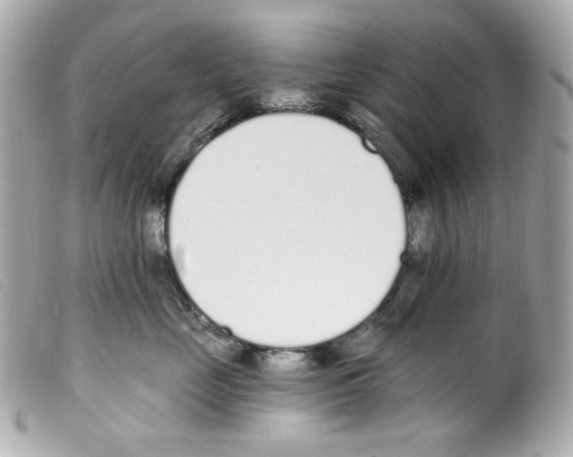 X0000099320669200805301217