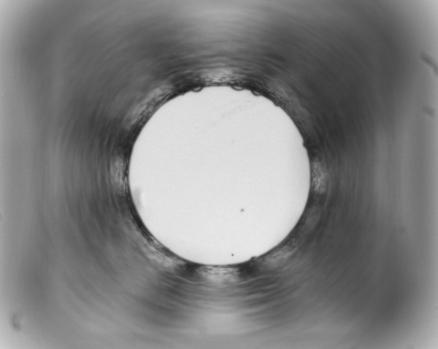 X0000099320670200805301217
