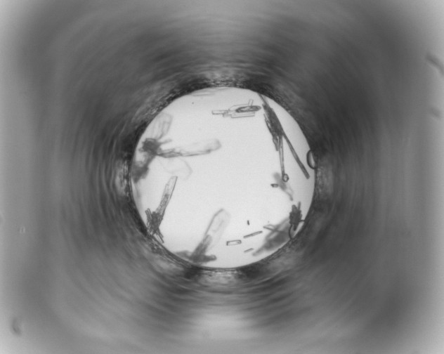 X0000099320671200805301217