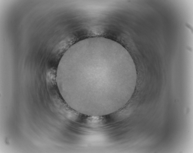X0000099320672200805301217