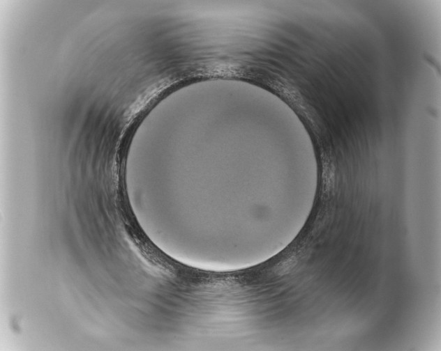X0000099320674200805301216