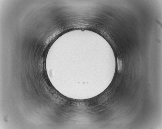 X0000099320675200805301216