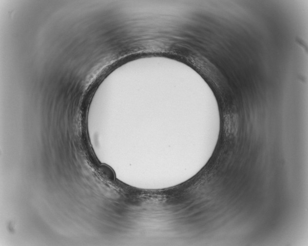 X0000099320676200805301216