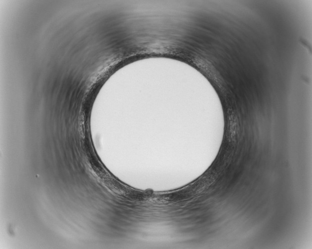 X0000099320680200805301216