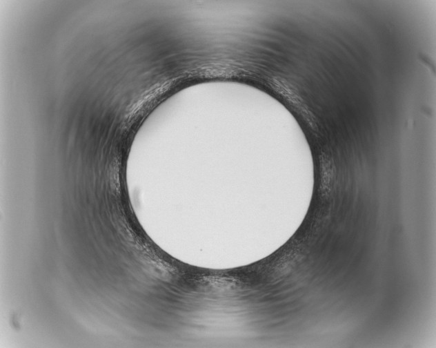 X0000099320681200805301216