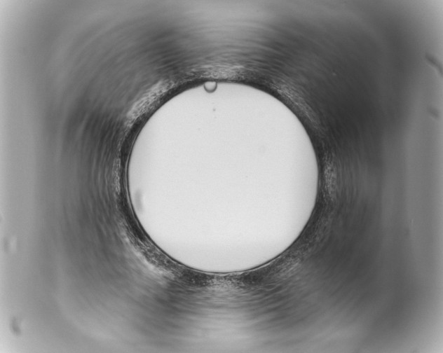 X0000099320682200805301216