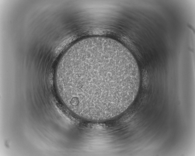 X0000099320683200805301216