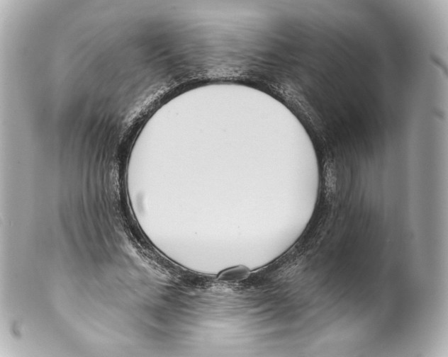 X0000099320684200805301216