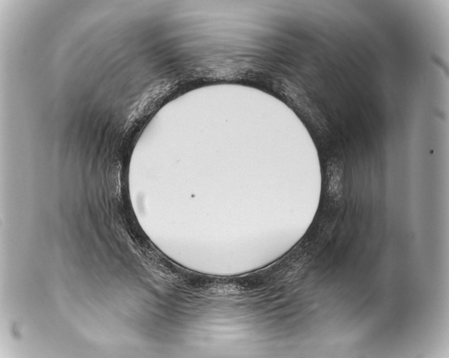 X0000099320685200805301216