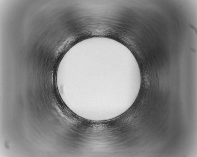X0000099320686200805301216