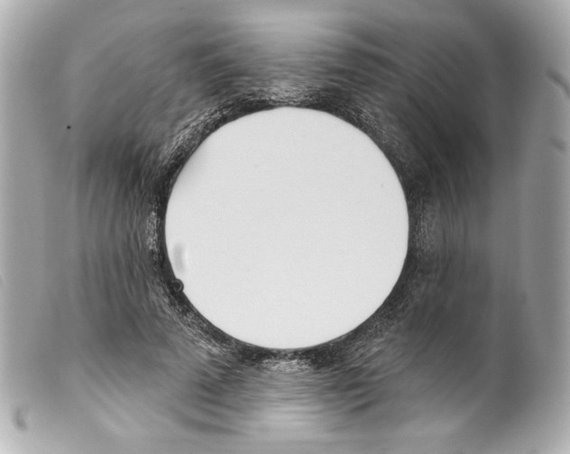 X0000099320689200805301216
