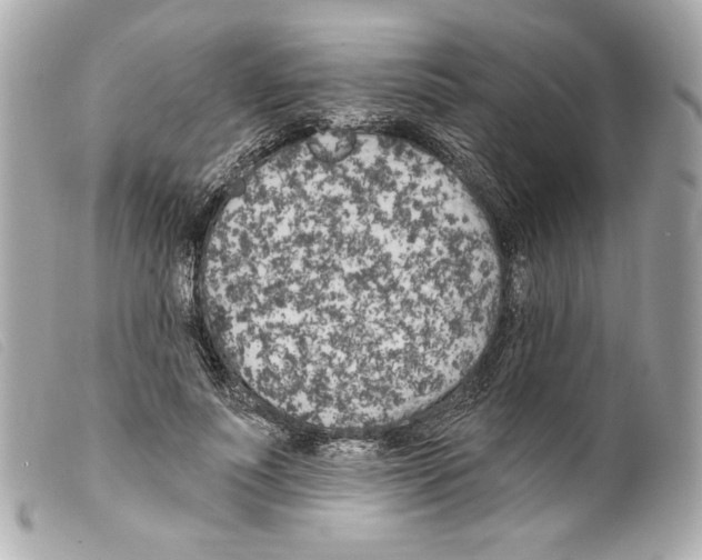 X0000099320691200805301216