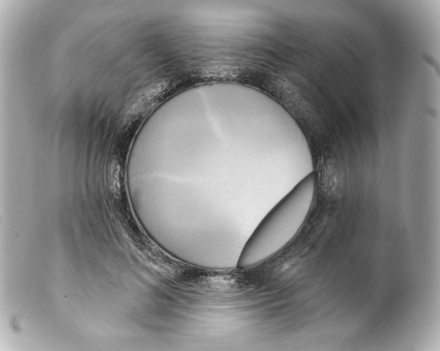 X0000099320692200805301216