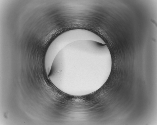 X0000099320693200805301216