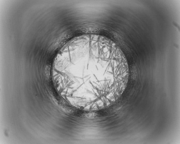 X0000099320695200805301216