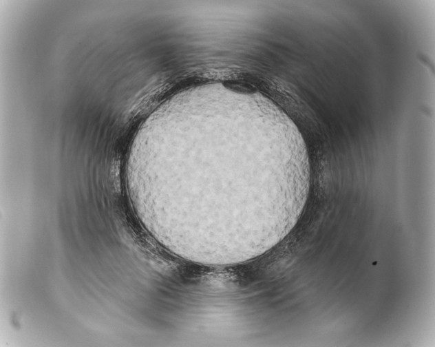 X0000099320696200805301216